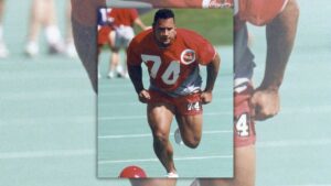 the rock